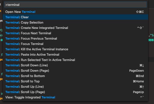 Visual Studio Code 终端命令行工具 Terminal